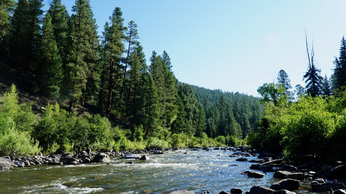 Photo by Kenny Gorman