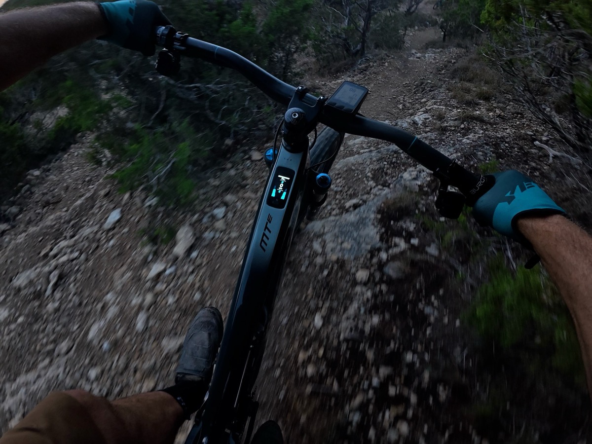 Photo by Kenny Gorman