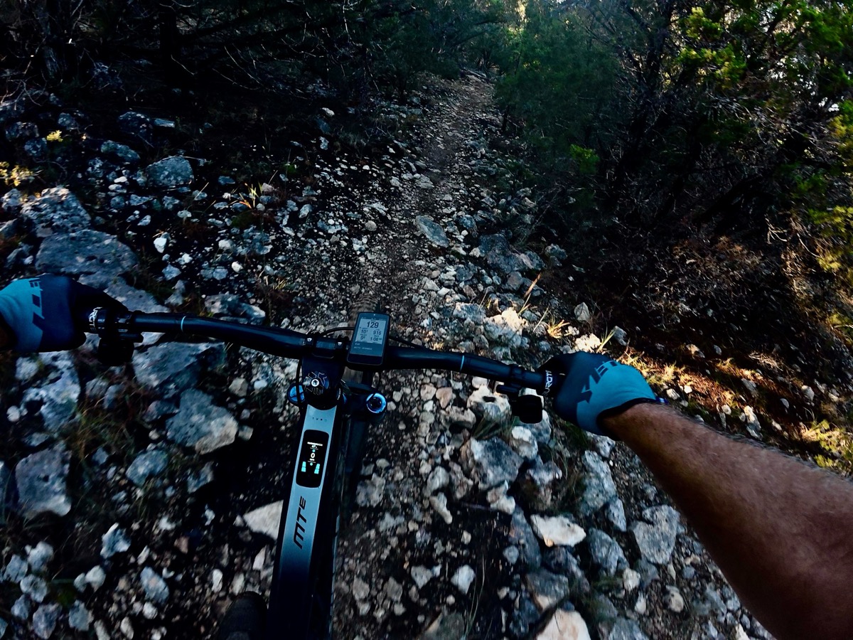 Photo by Kenny Gorman