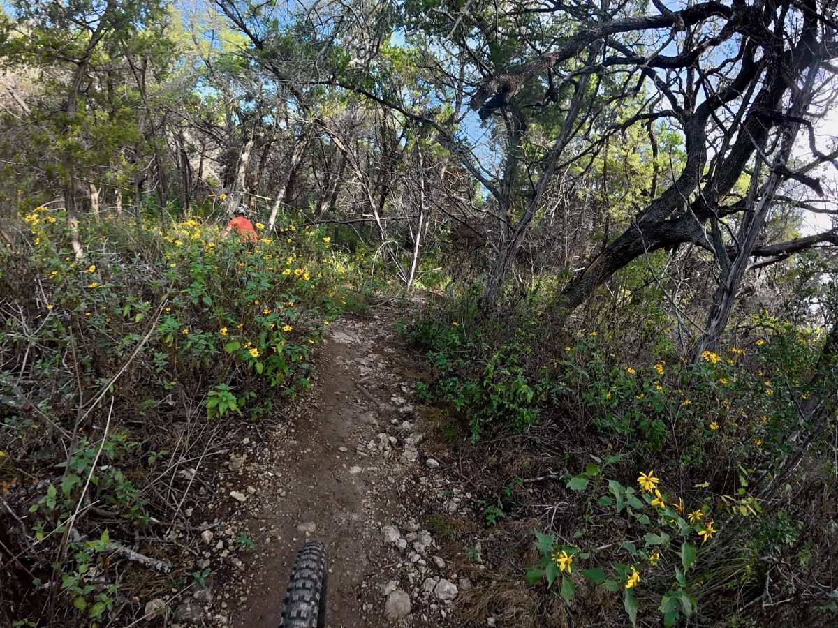 Photo by Kenny Gorman