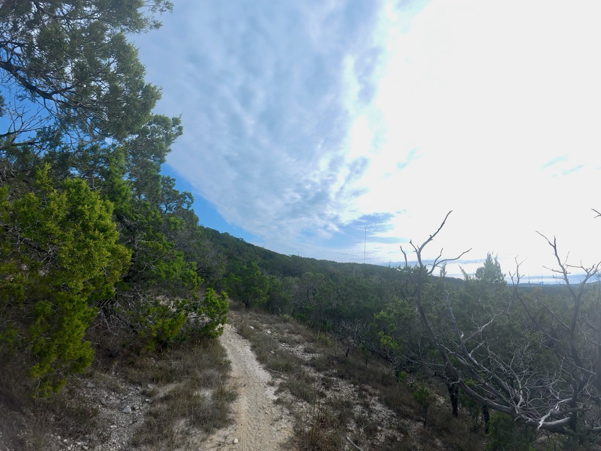 Photo by Kenny Gorman