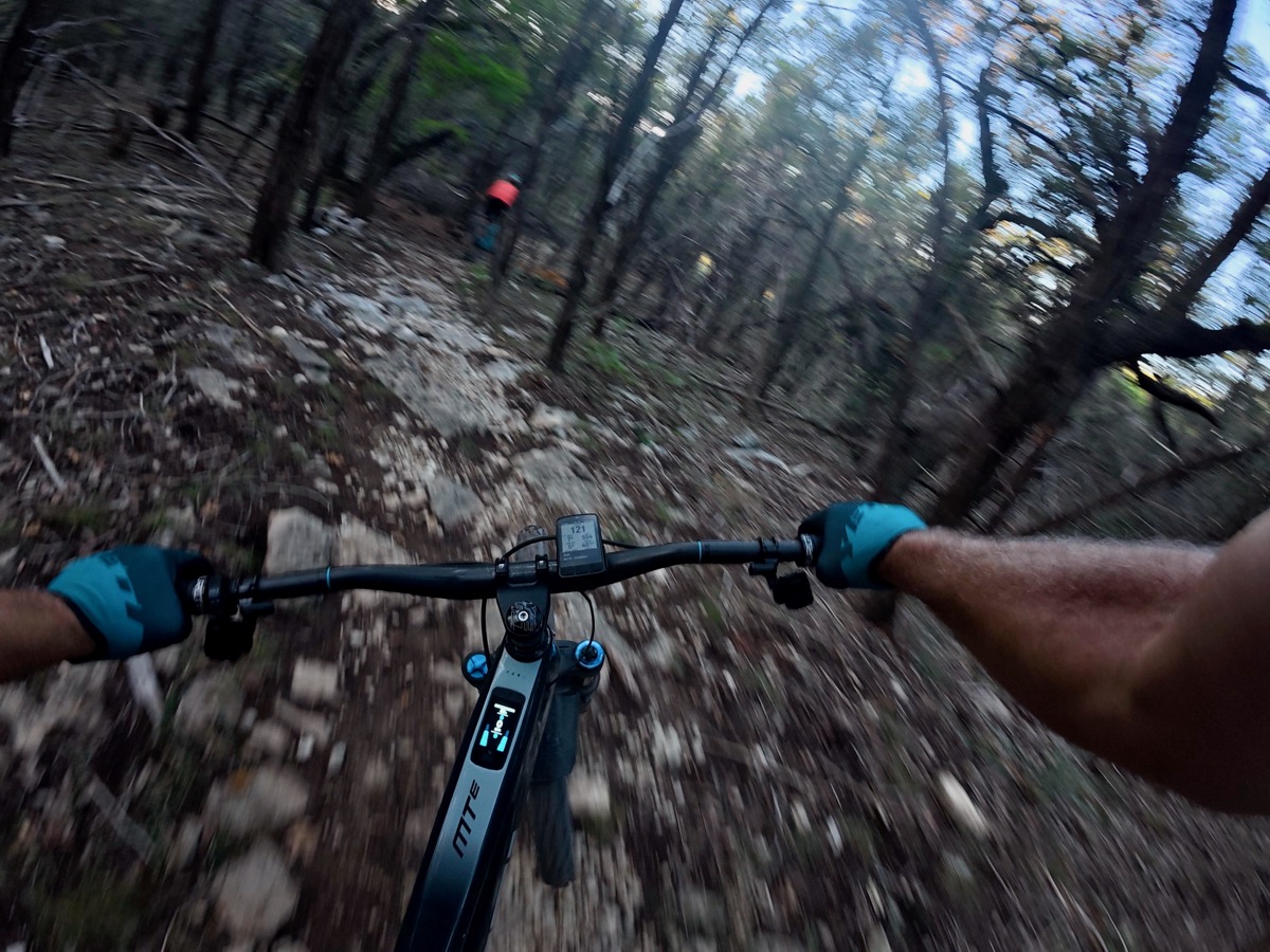 Photo by Kenny Gorman