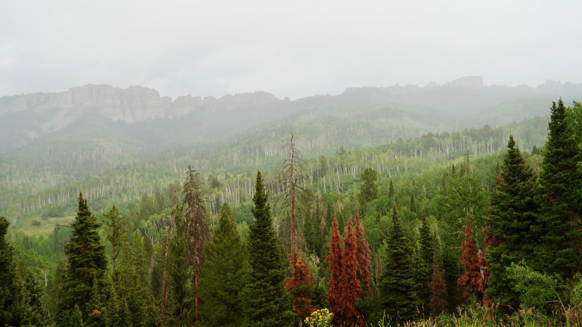 Photo by Kenny Gorman