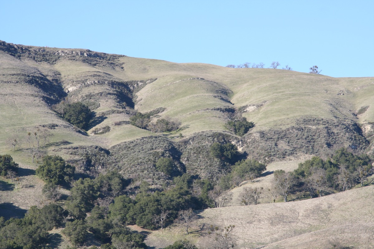 pleasanton ridge mtb